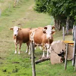 Haus Grabenbuehl Wieden