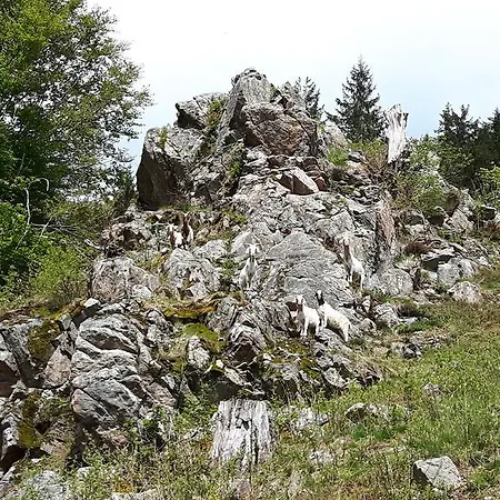 Daire Haus Grabenbuehl