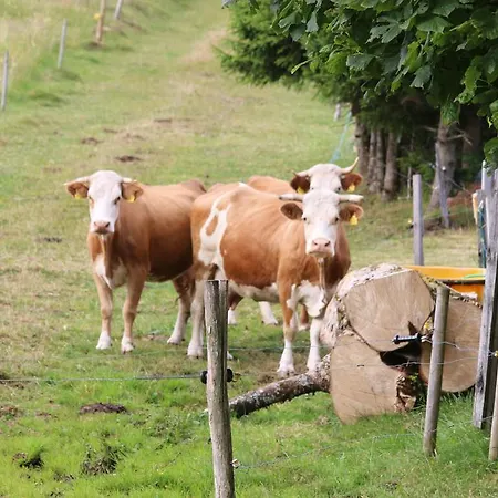 Haus Grabenbuehl Wieden