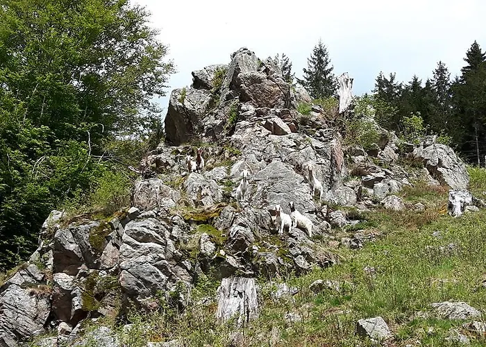 Апартаменты Haus Grabenbuehl