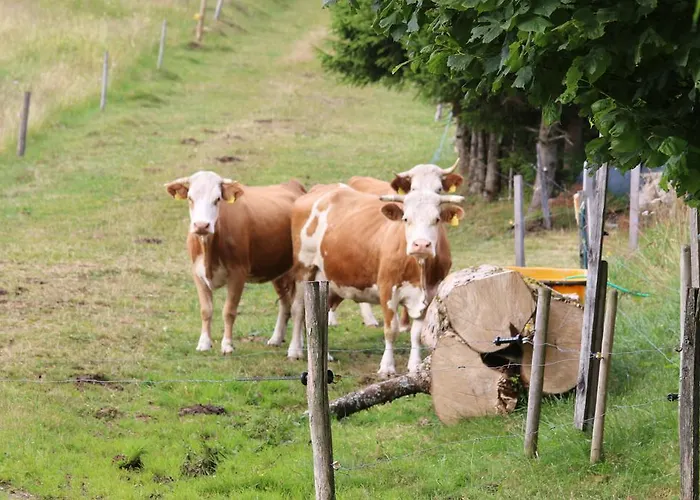 Haus Grabenbuehl Виден