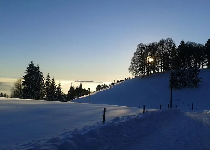 Haus Grabenbuehl Виден