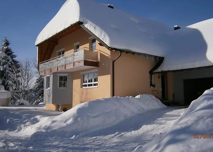 Haus Grabenbuehl Апартаменты Виден